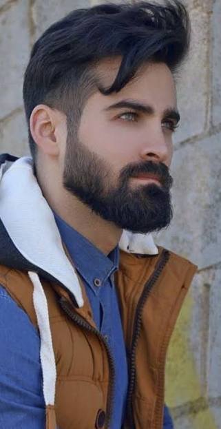 Beard Shape